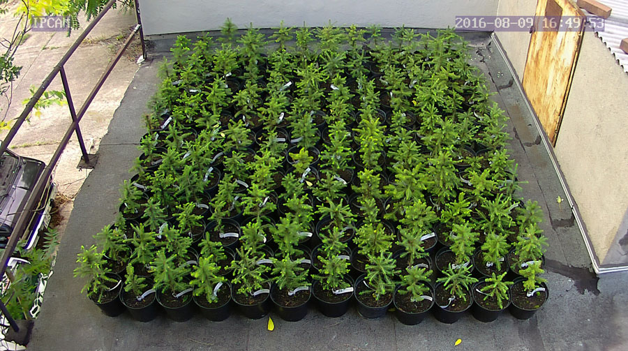 jurgen_ostarhild_144_20160809