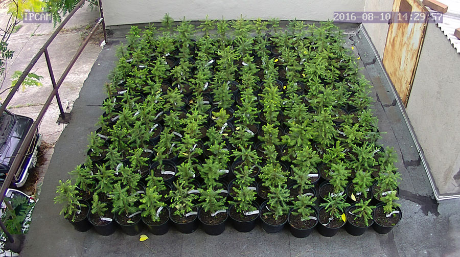 jurgen_ostarhild_144_20160810