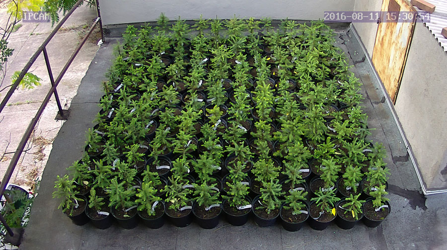 jurgen_ostarhild_144_20160811