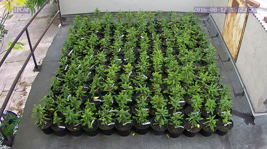 jurgen_ostarhild_144_20160812