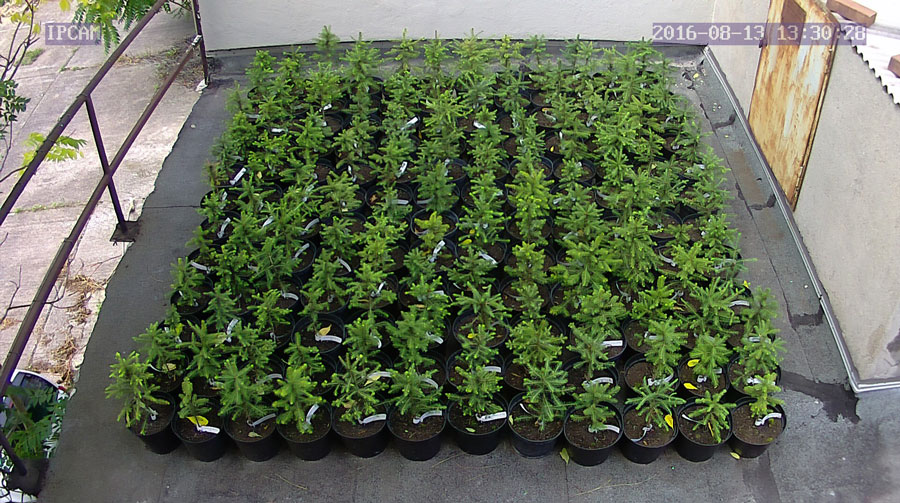 jurgen_ostarhild_144_20160813