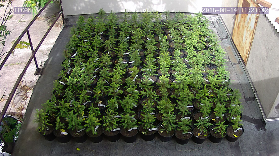 jurgen_ostarhild_144_20160814