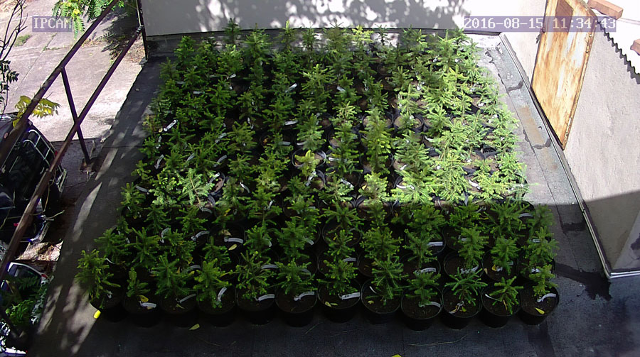 jurgen_ostarhild_144_20160815