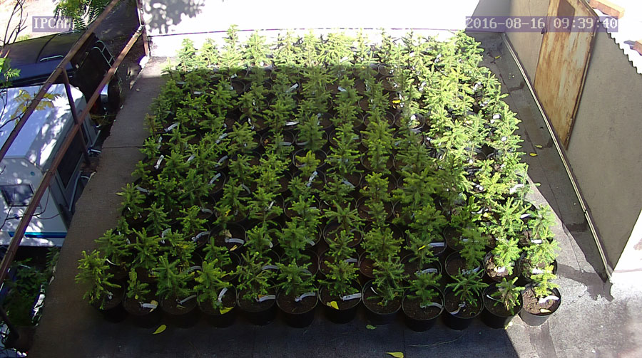 jurgen_ostarhild_144_20160816