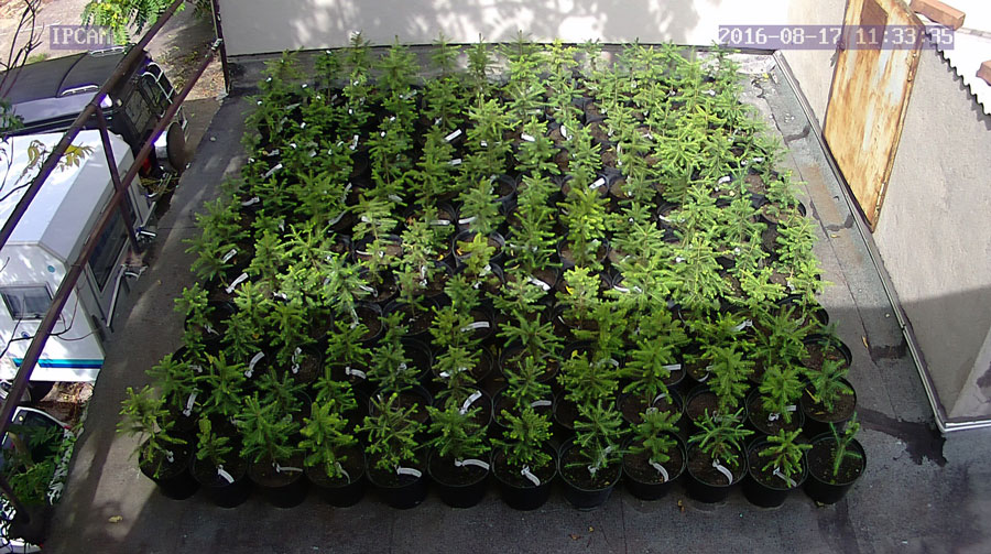 jurgen_ostarhild_144_20160817