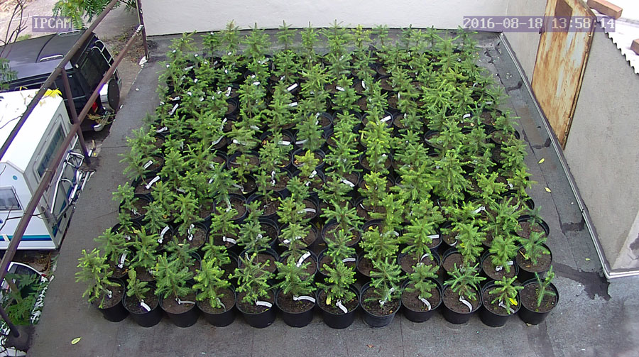 jurgen_ostarhild_144_20160818