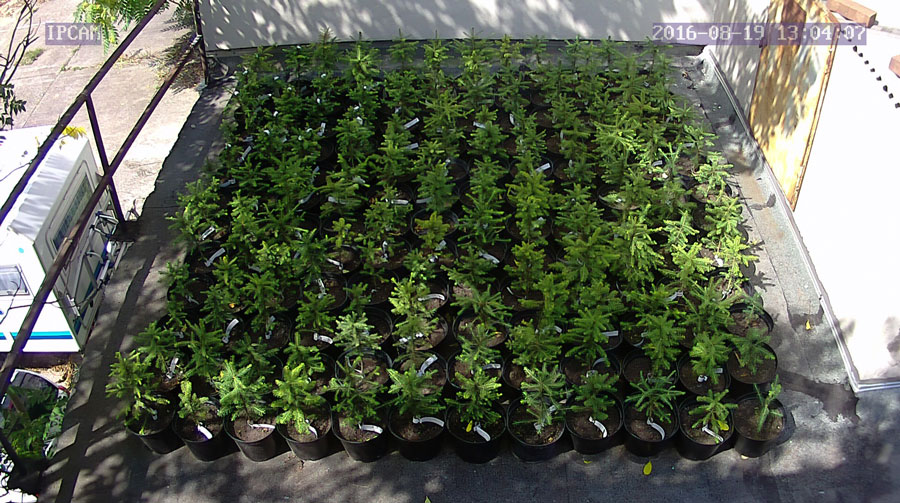 jurgen_ostarhild_144_20160819