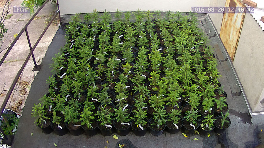 jurgen_ostarhild_144_20160820