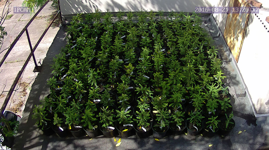 jurgen_ostarhild_144_20160821