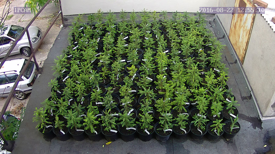 jurgen_ostarhild_144_20160822