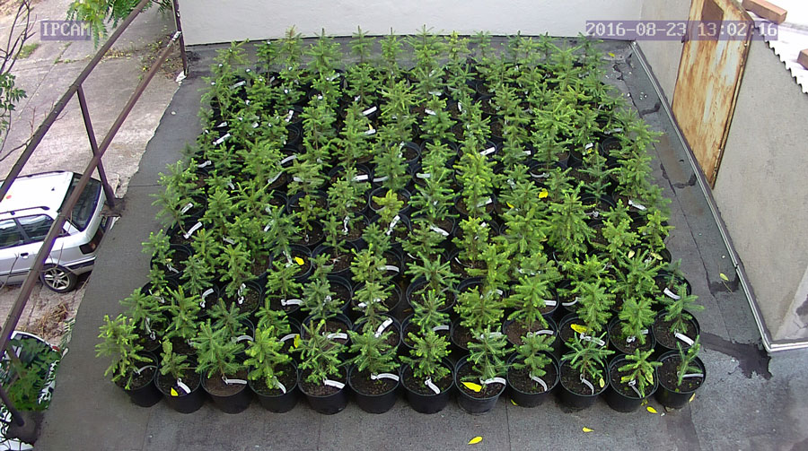 jurgen_ostarhild_144_20160823