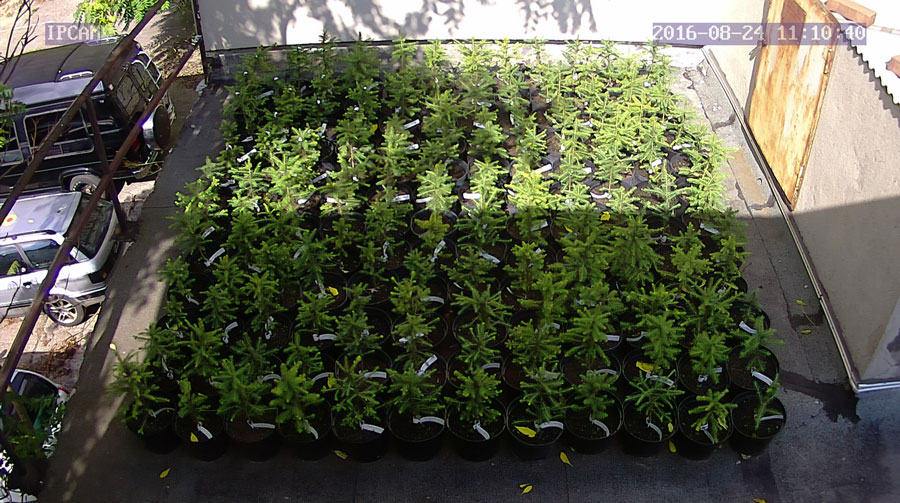 jurgen_ostarhild_144_20160824