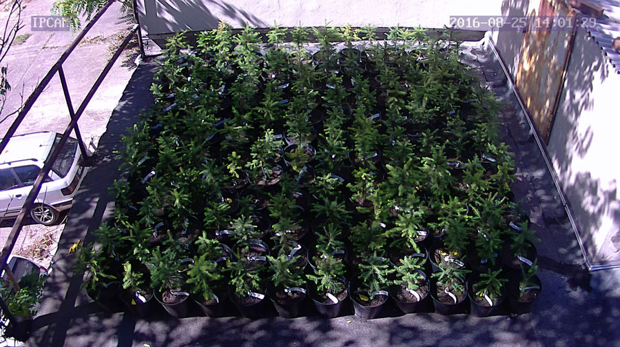 jurgen_ostarhild_144_20160825