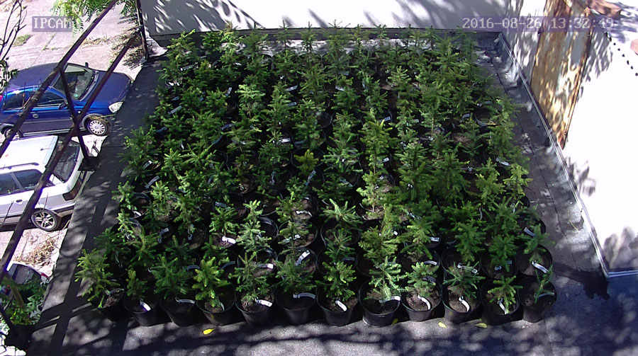 jurgen_ostarhild_144_20160826