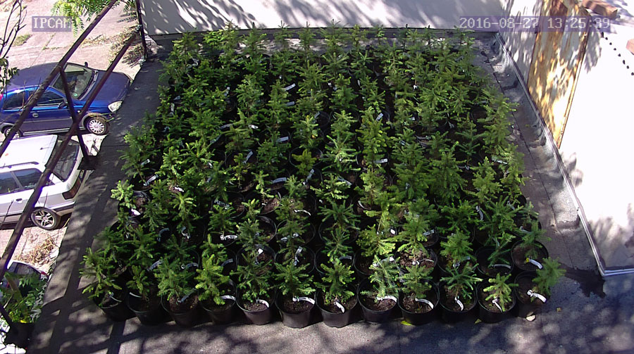 jurgen_ostarhild_144_20160827