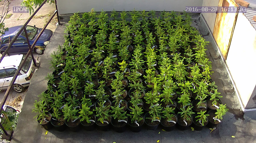 jurgen_ostarhild_144_20160828