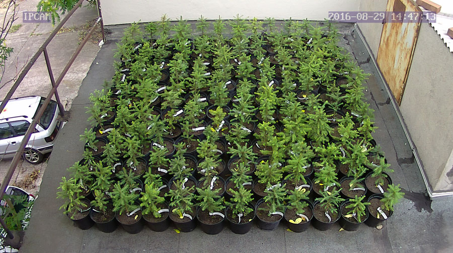 jurgen_ostarhild_144_20160829