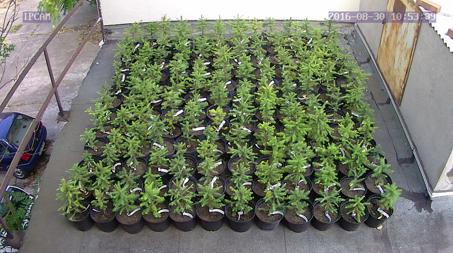 jurgen_ostarhild_144_20160830