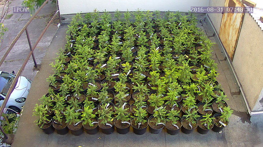 jurgen_ostarhild_144_20160831