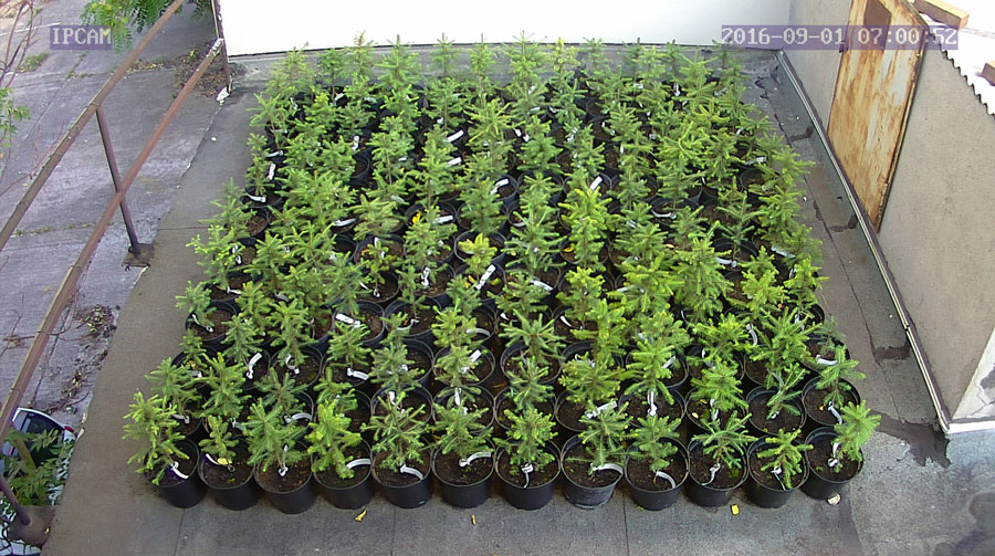 jurgen_ostarhild_144_20160901