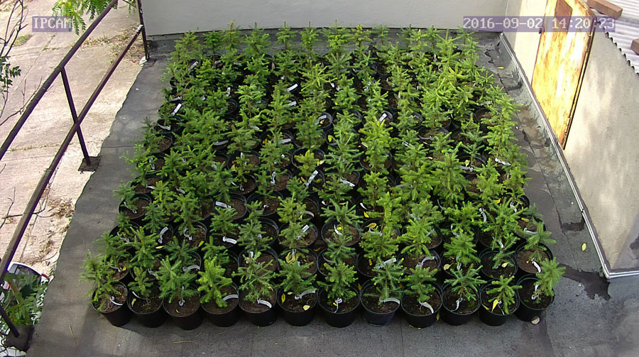 jurgen_ostarhild_144_20160902