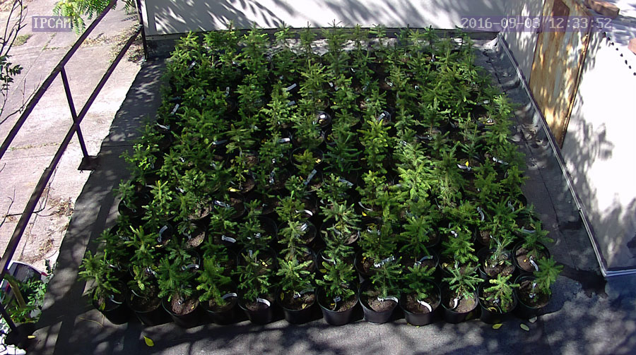 jurgen_ostarhild_144_20160903