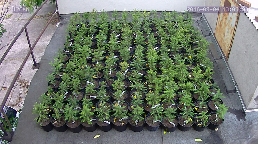 jurgen_ostarhild_144_20160904