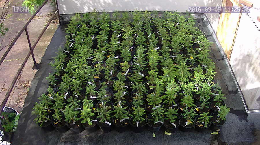 jurgen_ostarhild_144_20160905