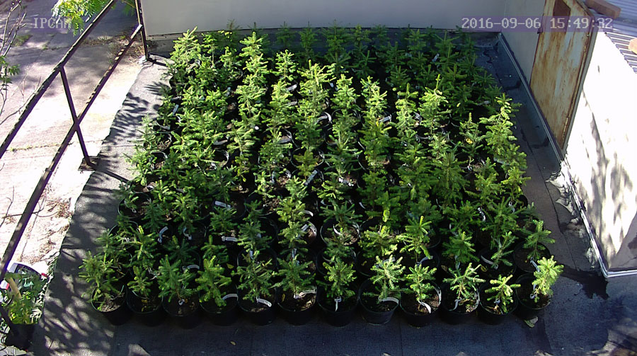 jurgen_ostarhild_144_20160906