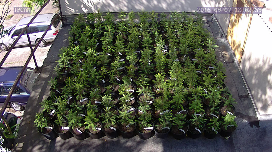 jurgen_ostarhild_144_20160907