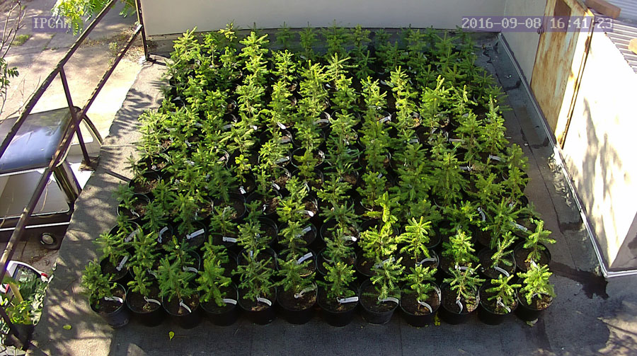 jurgen_ostarhild_144_20160908