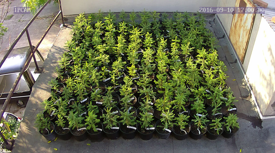 jurgen_ostarhild_144_20160910