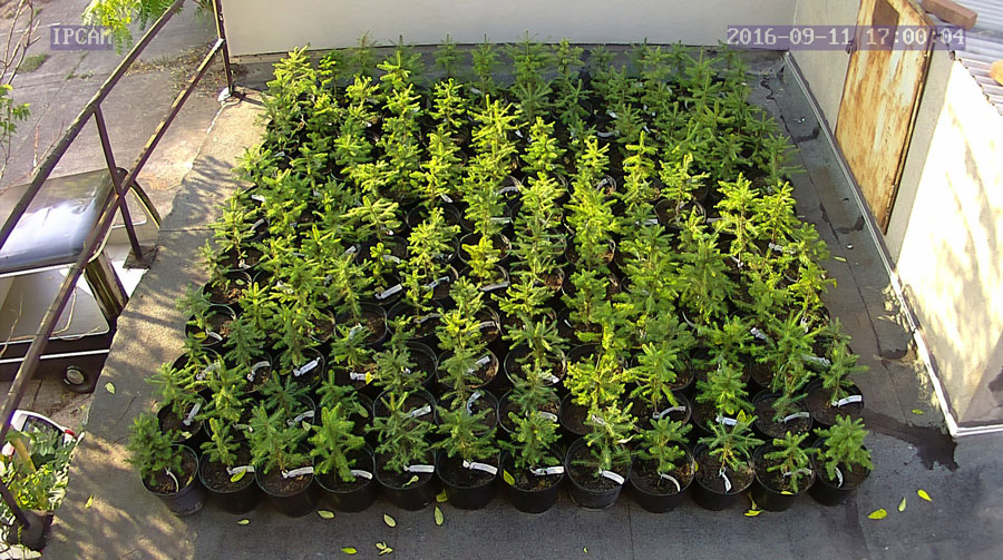 jurgen_ostarhild_144_20160911