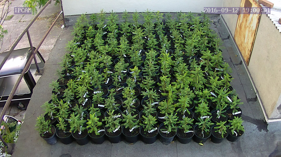 jurgen_ostarhild_144_20160912