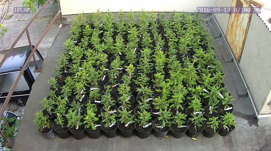 jurgen_ostarhild_144_20160913