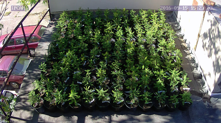 jurgen_ostarhild_144_20160915