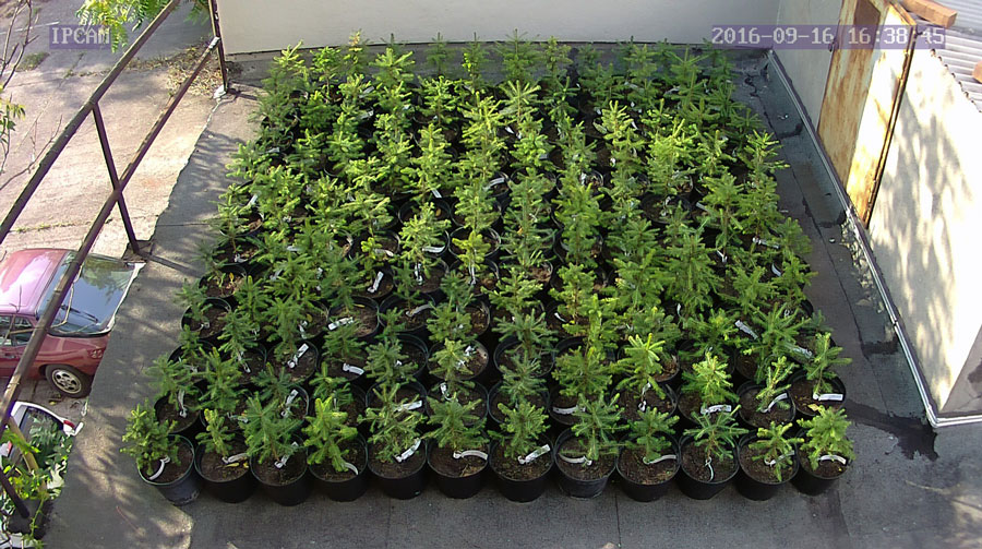 jurgen_ostarhild_144_20160916