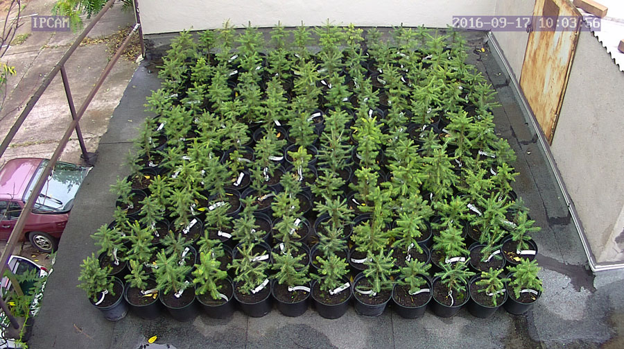 jurgen_ostarhild_144_20160917