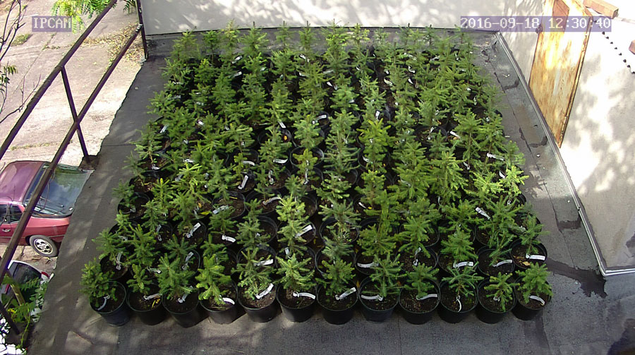 jurgen_ostarhild_144_20160918