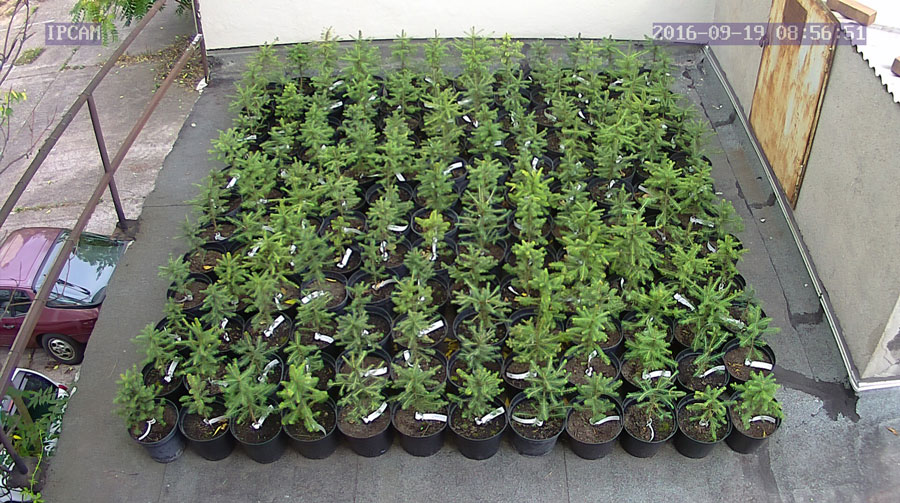 jurgen_ostarhild_144_20160919