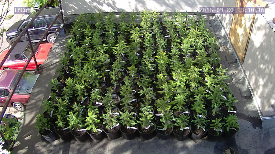 jurgen_ostarhild_144_20160920