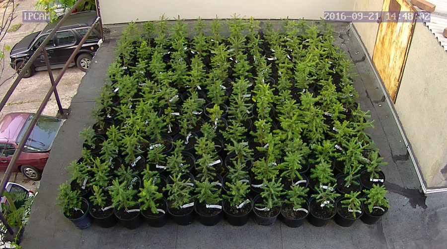 jurgen_ostarhild_144_20160921