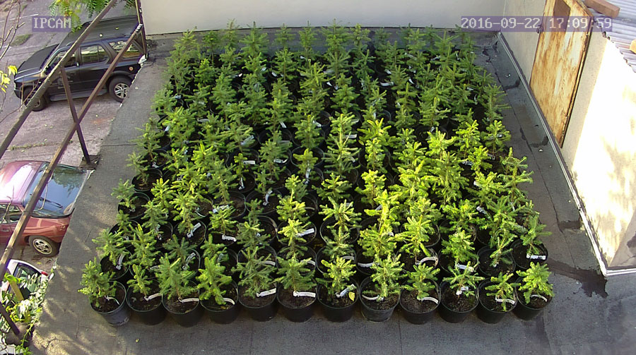 jurgen_ostarhild_144_20160922