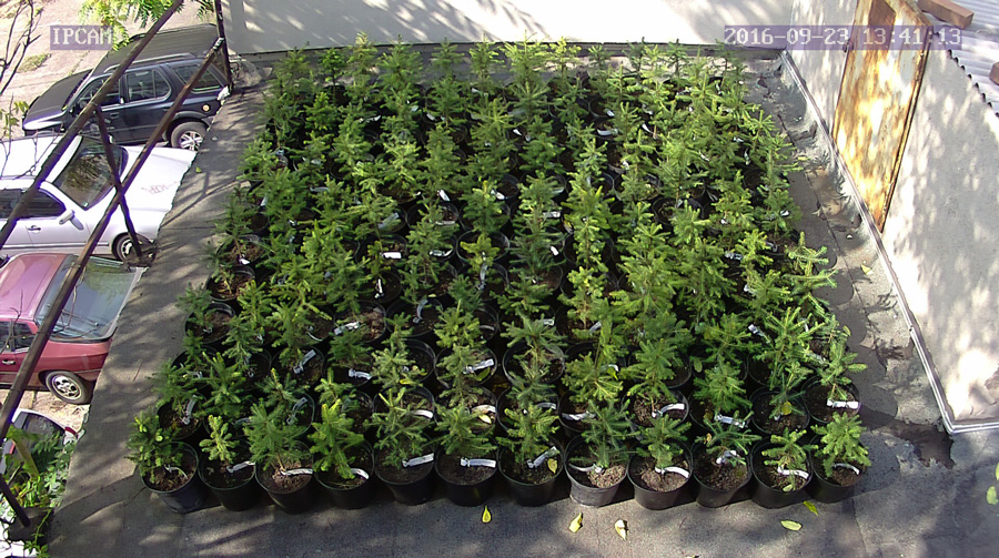 jurgen_ostarhild_144_20160923