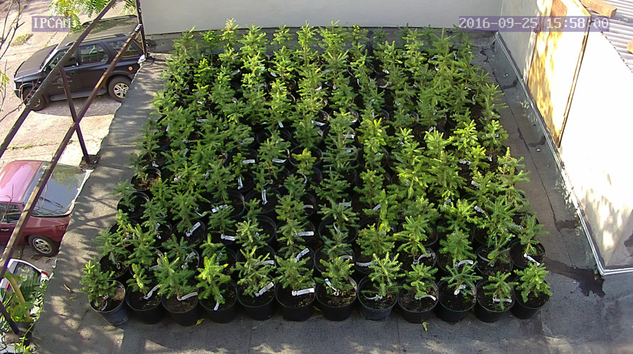 jurgen_ostarhild_144_20160925