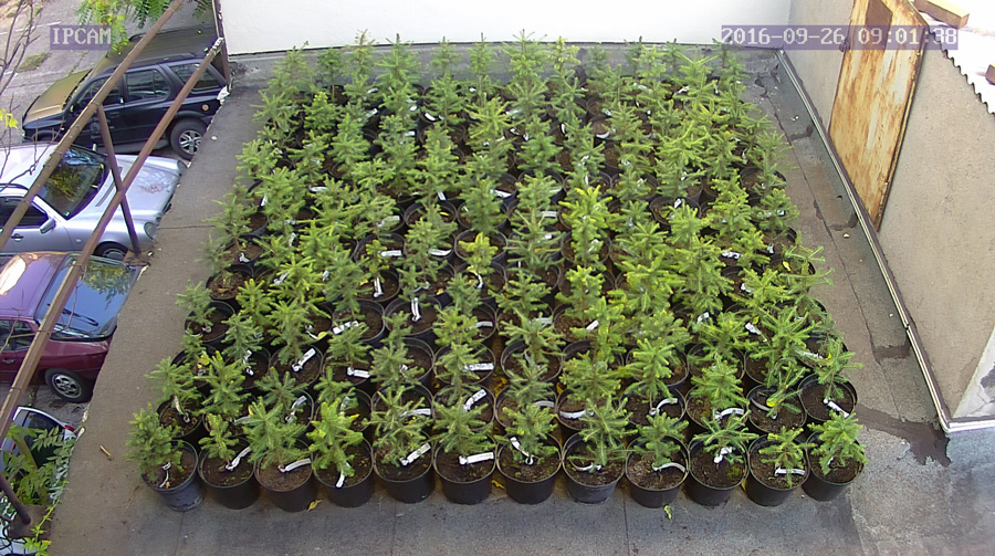 jurgen_ostarhild_144_20160926