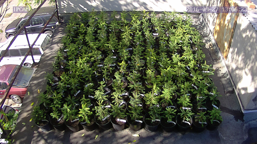 jurgen_ostarhild_144_20160927